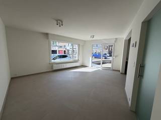 Te huur: volledig vernieuwd gelijkvloers hoekappartement met een overvloed aan natuurlijk zonlicht. Dit instapklare appartement werd deze...