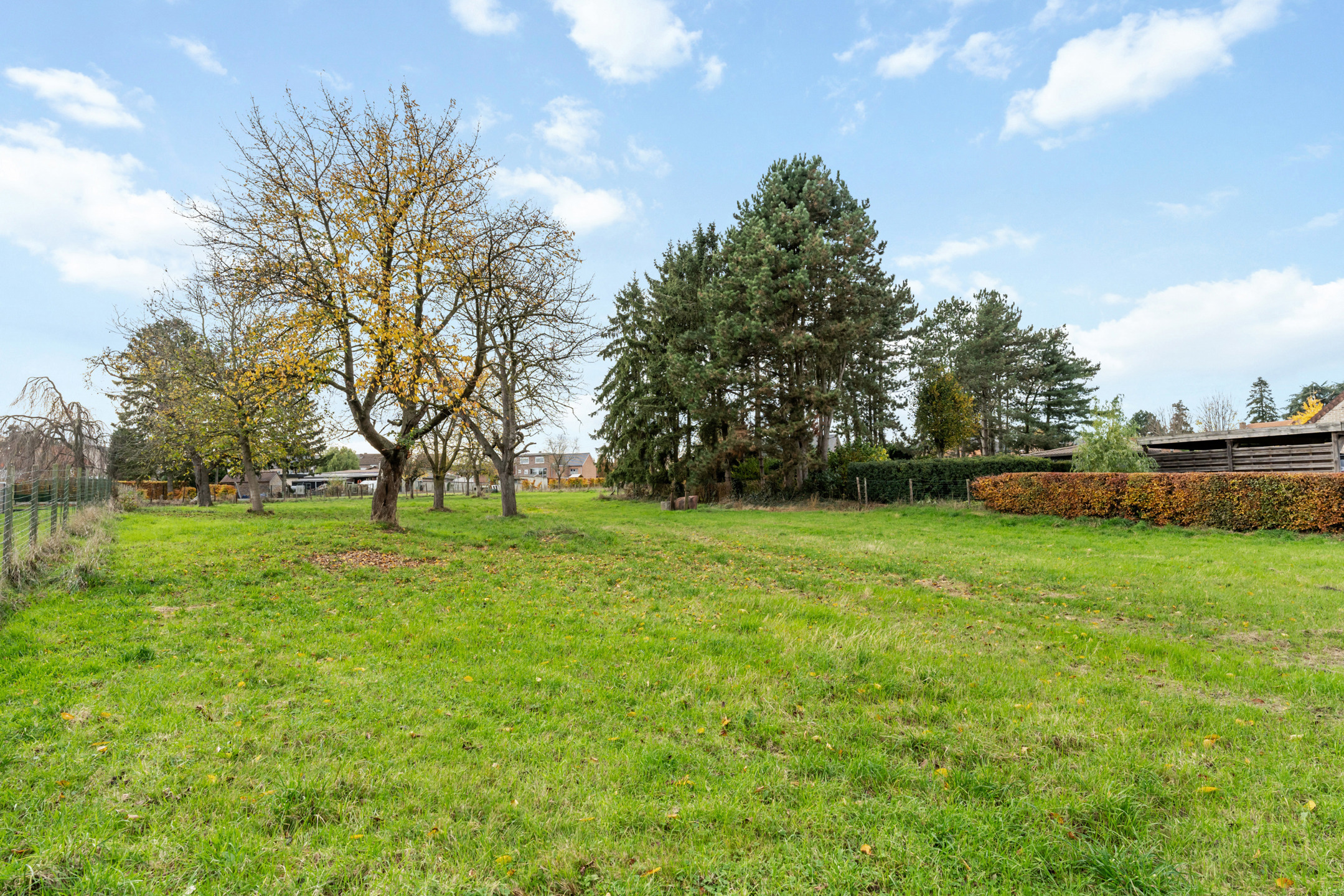 Land for sale in Riemst - photo 1