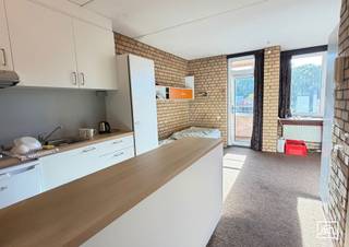 <p><span>Op een boogscheut van de ring van Leuven, aan de Bodartparking, en in de buurt van Sportkot, Gasthuisberg en UCLL.</span></p><p><span>Op de eerste verdieping, bevindt zich deze uiterst ruime studio, gemeubeld en met een vernieuwde kitchenette en eigen sanitair (WC en douche).</span></p><p><span>Grote troef is hier het terras, dat een wijds zicht geeft.</span></p><p><span>Er is veel lichtinval door het brede raam, met daaraan een bureau bevestigd voor de studerende student of huurder.</span></p><p><span>De studio heeft een oppervlakte van 29 m² (volgens EPC). </span></p><p><span>Er is een gratis fietsenstalling voor de deur, en in het gebouw is er een wassalon waar je met jetons je was kan wassen/drogen.</span></p><p><span>Er is een conciërge aanwezig en het beheer van de site gebeurt door de syndicus&rentmeester, aanwezig in het gebouw.</span></p><p><span>Asbestvrij, elektriciteit conform en prima EPC zijn nog belangrijke elementen.</span></p><p><span>Heden verhuurd voor het begonnen academiejaar. </span></p><p><span>U koopt en de investering start onmiddellijk. </span></p><p><span>Interesse? Laat het ons weten, en maken graag tijd voor een bezoek ter plaatse.</span></p><p><span> </span></p>