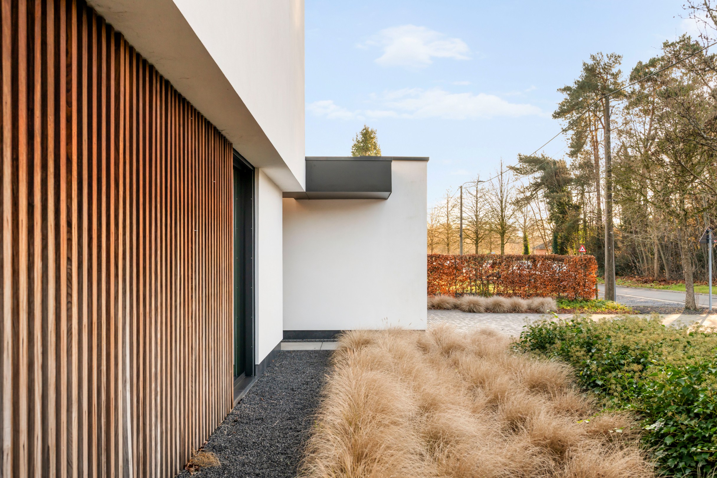 Eco-Villa 4 slpk, praktijkruimte, zwembad op 1541 m² Balen - foto 2