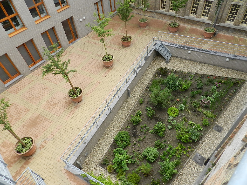 Apartment for rent in Ypres with 1 bedroom - photo 3