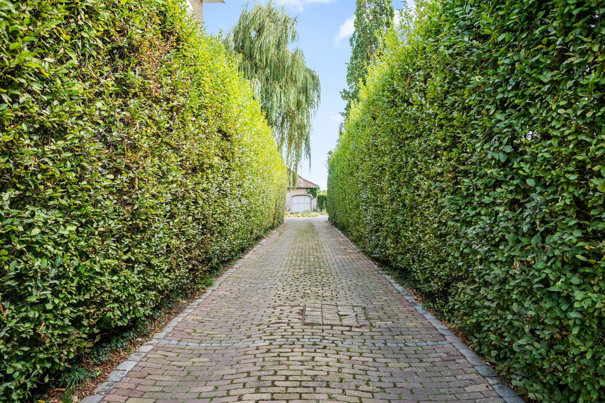 Maison à vendre à Aarschot avec 4 chambres - photo 5