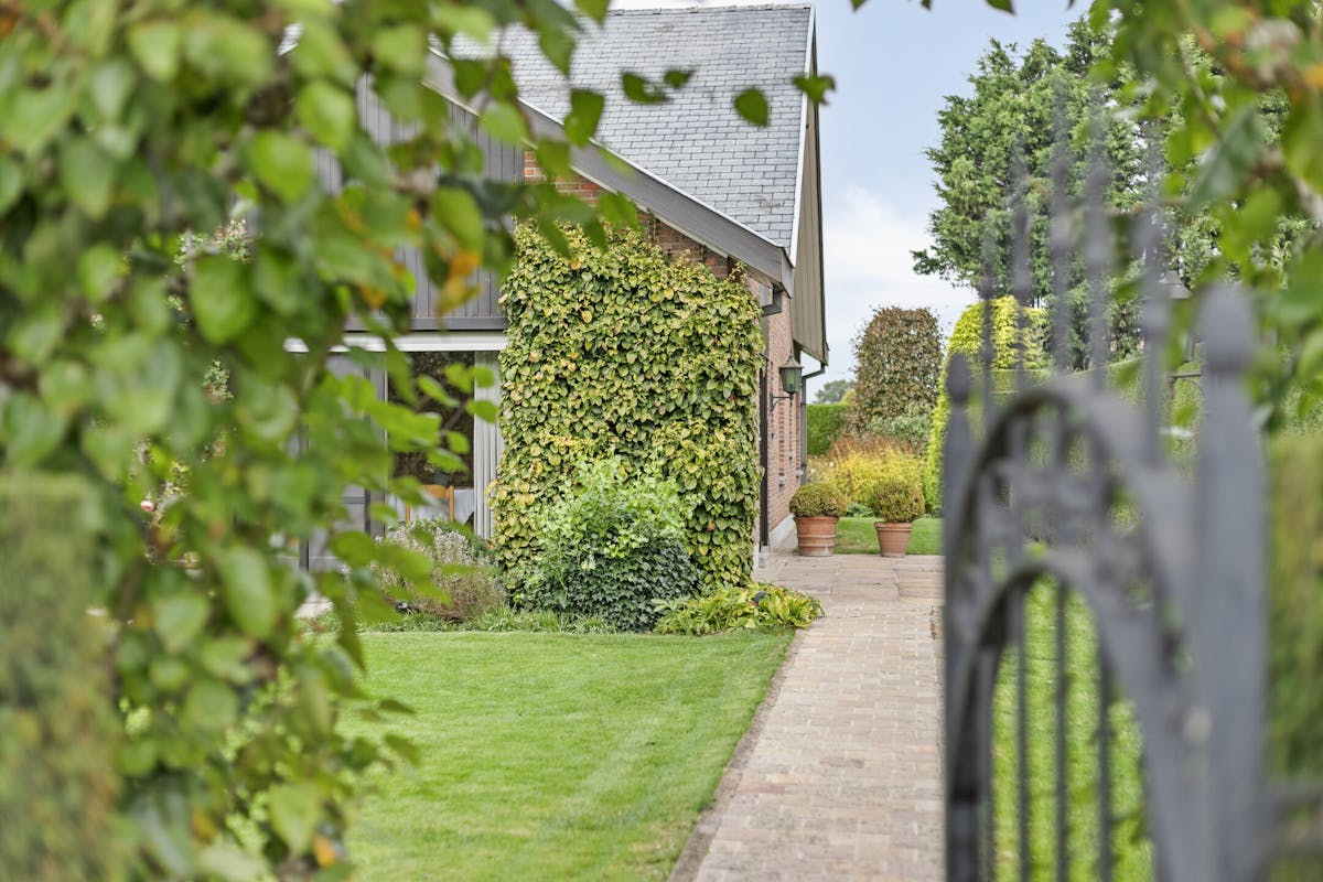 Single storey house for sale in Sint-Baafs-Vijve on 1417 m² - photo 4