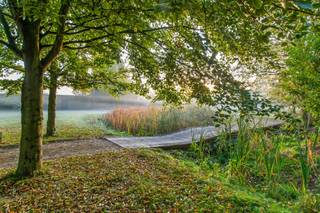 Villa exclusive sur un grand terrain dans le charmant Rumst - où le luxe et la tranquillité se rencontrent sur 2,9 hectaresDécouvrez une opportunité...