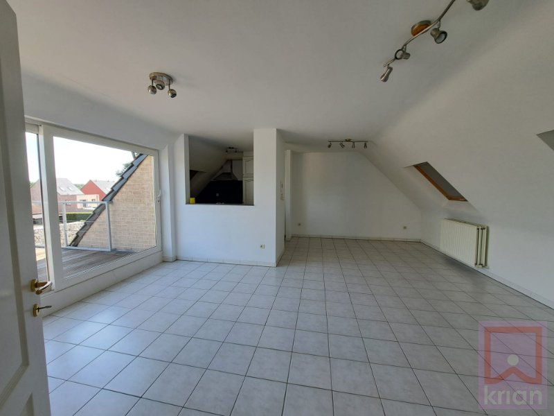 2 slpk dakappartement met mooi terras en garage - foto 4