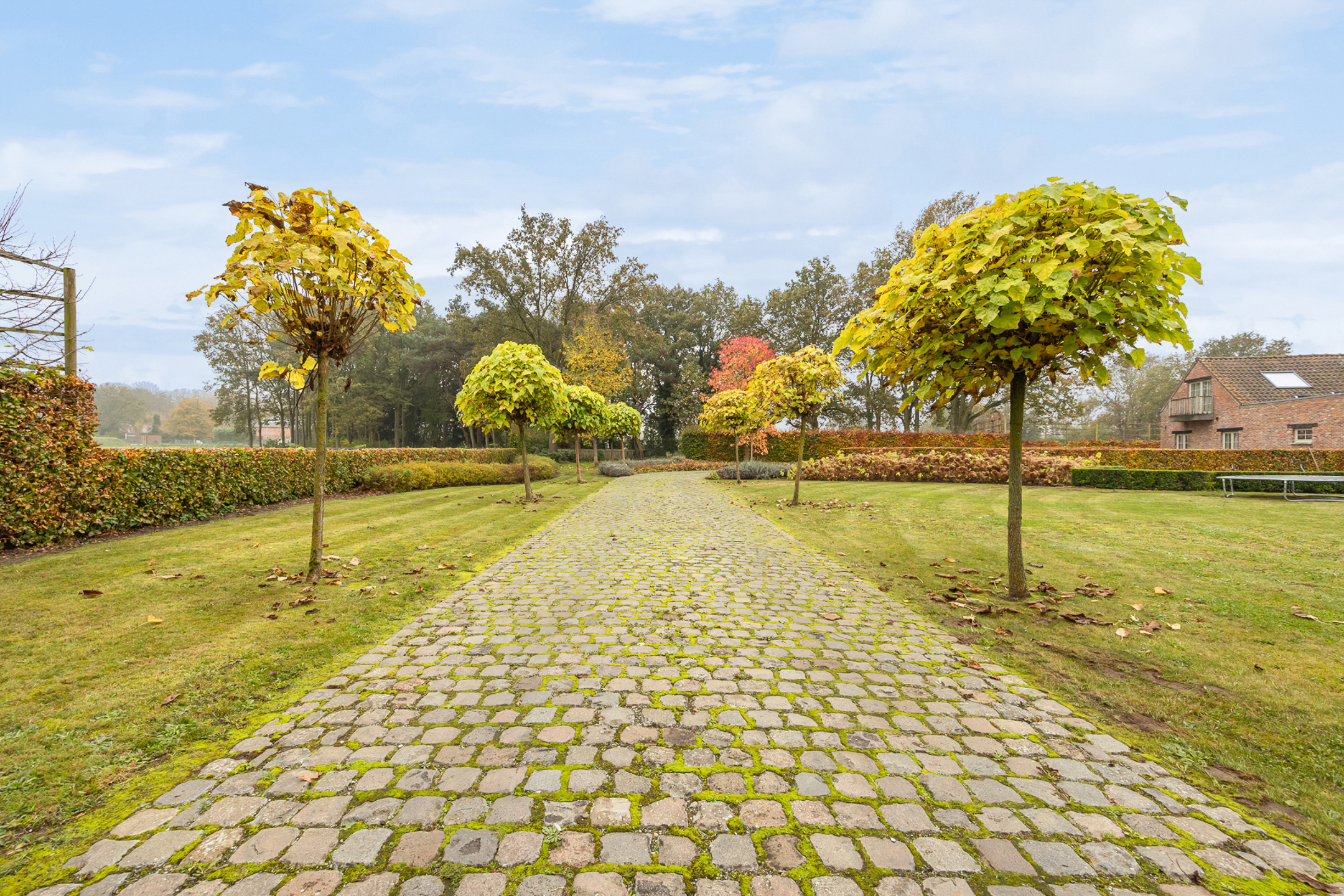 Unieke landelijke woning met prachtige tuin op 3338 m2  - foto 4