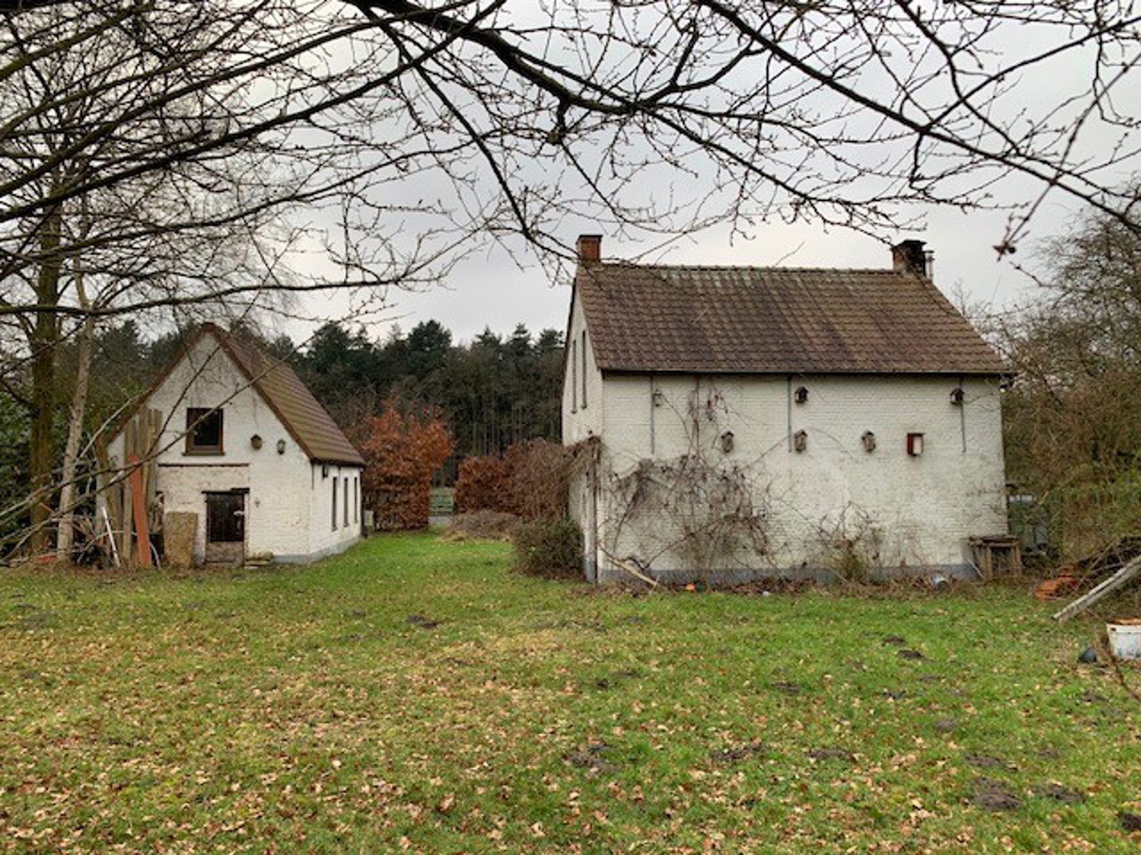 Mooi weekendverblijf op bijna 1 hectare. - foto 2