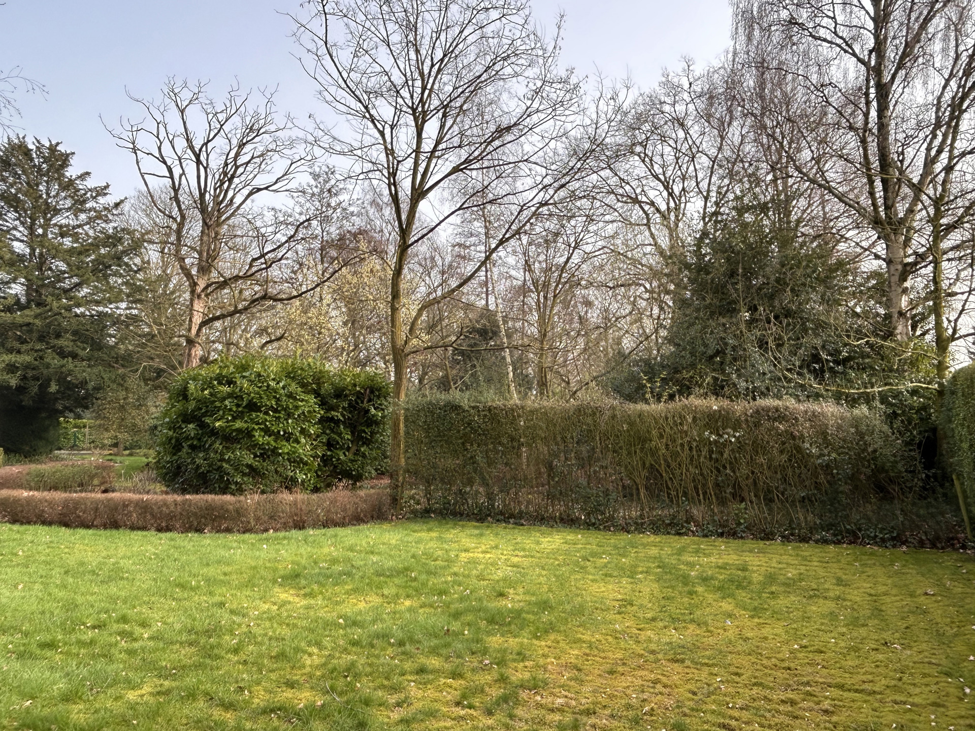 Grond te koop in Essen - foto 4