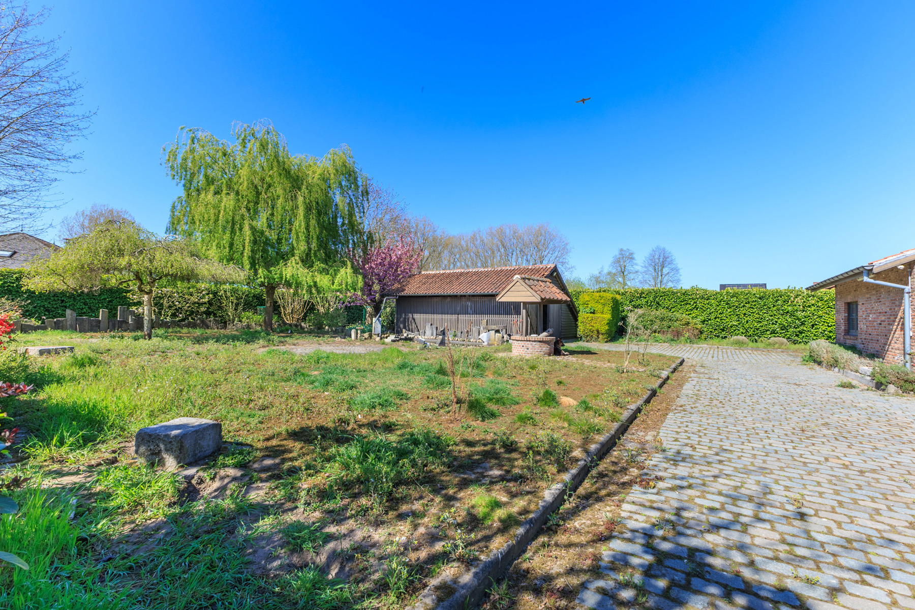 Maison à vendre à Wetteren avec 4 chambres - photo 3