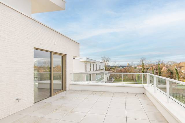 Project te koop in Blaasveld