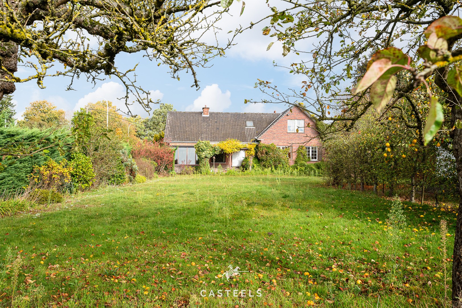 Te renoveren woning op perceel van 5.643m² in Kruisem te koop - foto 5