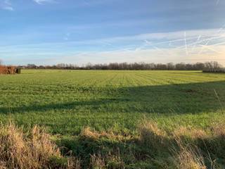 Terrain à vendre à Eeklo