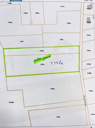 <strong>Hoeve op 6000m² met loods(mogelijkheid landbouwgrond)</strong><br />Er is 1 loods die blijft staan met een oppervlakte van 385m², de andere loodsen zijn om af te breken. Verder is het huis ook gedeeltelijk onderkelderd ( droog) .<br /><br /><strong>Indeling</strong><br />Op het gelijkvloers vindt je de woonkamer, keuken, wasruimte en badkamer.<br />Op het eerste verdiep bevinden zicht 3 slaapkamers.<br /><br /><strong>Troeven:</strong>
<ul><li>bestemmingswijziging goedgekeurd</li><li>mooi verzicht</li><li>aangename rustige straat</li><li>zonnepanelen inbegrepen</li></ul>
<br />mogelijkheid extra aanpalende grond(6000m²) bij te kopen:
<div>-totaal: 12.000m² &amp;amp; <u>vanafprijs: €379.000</u></div>
<br />mogelijkheid apart landbouwgrond in de regio bij te kopen aan <u>120.000€/ha</u>

<div><br />- zie bijlagen voor meer informatie</div>