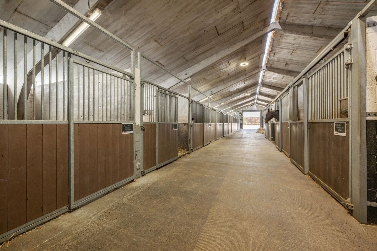 Prachtige paardenstoeterij te koop te Ronse - foto 4