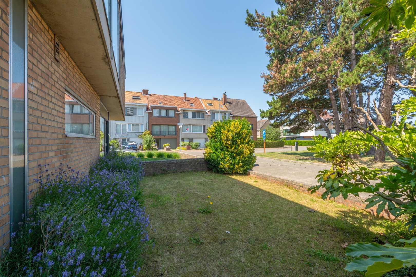 Lichtrijk gelijkvloersappartement met veel potentieel - foto 5