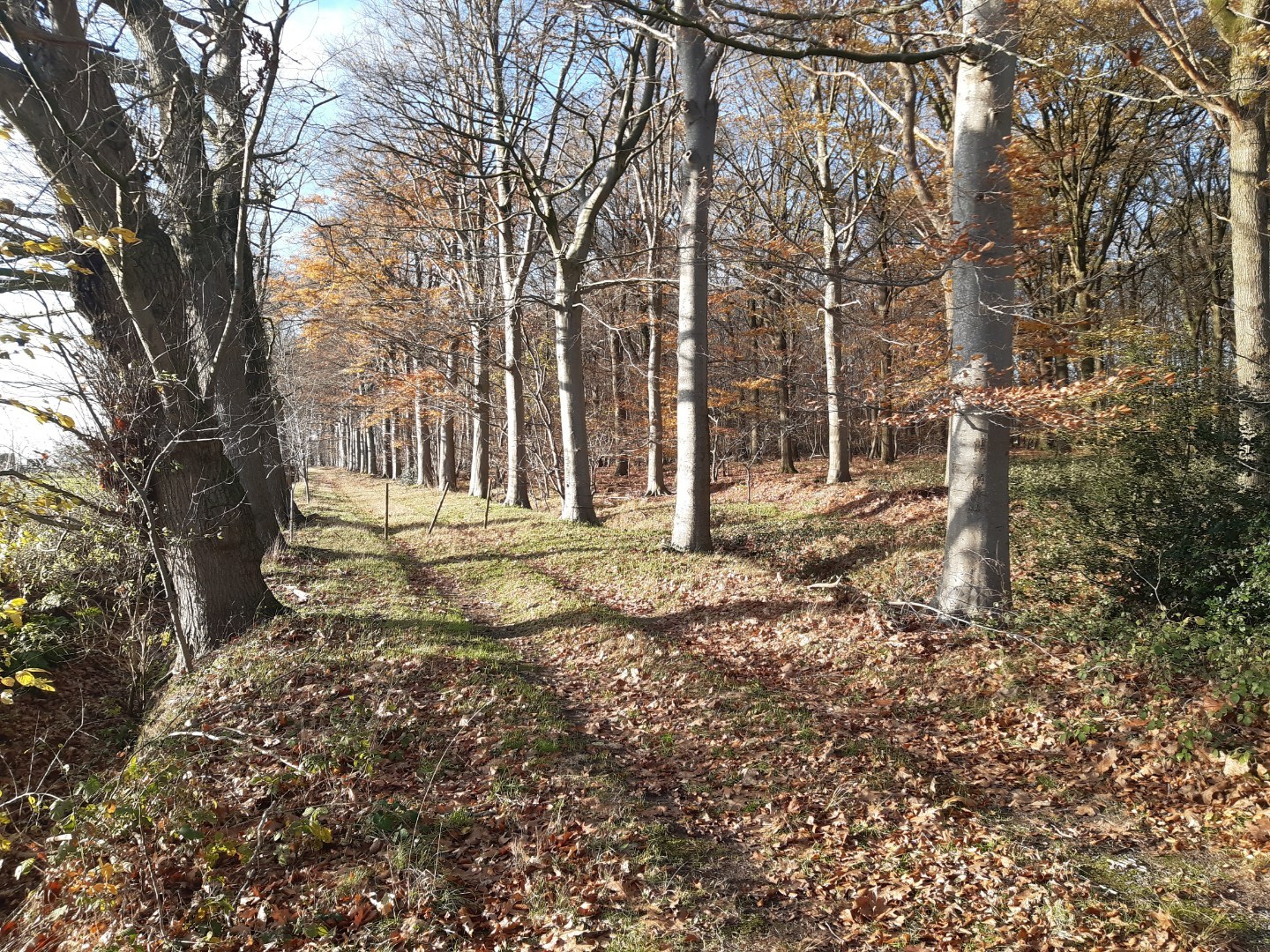 Uitzonderlijk gelegen villa. - foto 2