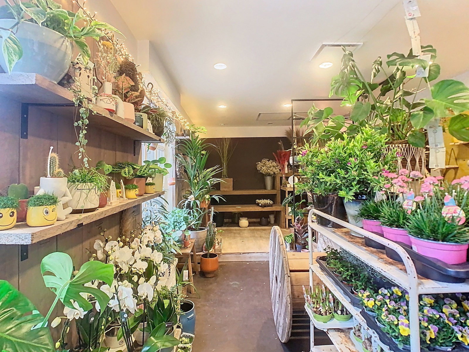 Commercial for rent in Lier - photo 2