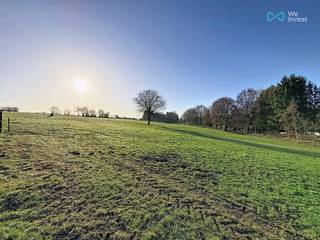 Land for sale in Momignies