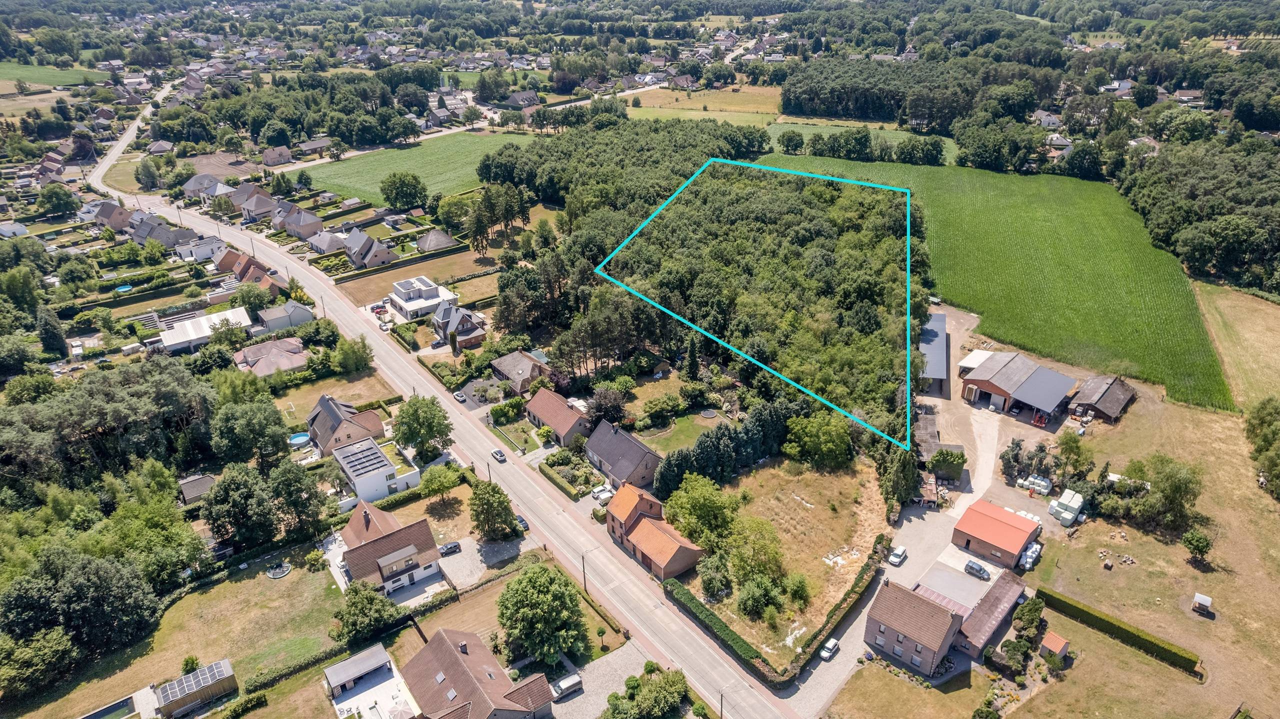 Perceel bos "Hoogenbeemorter" op 14.698 m² te Grasheide. - foto 2