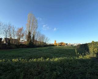 Land for sale in Jabbeke