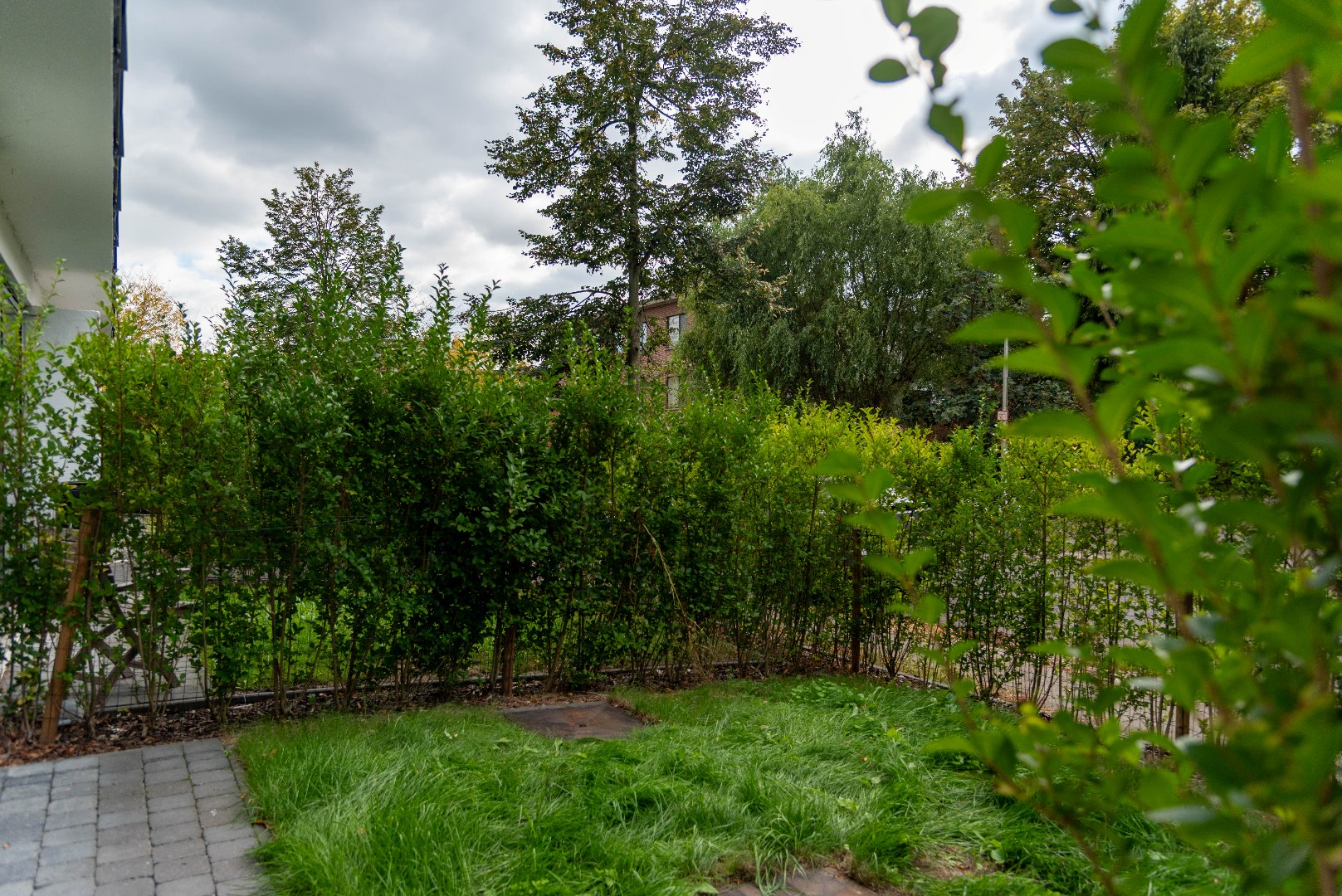 Luxueus en energiezuinig gelijkvloers met 2 slk, tuin én terras - foto 5