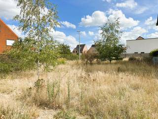 Op de hoek van de Dumpelstraat en de Wolfakker in Oevel (Westerlo) vindt u dit perceel bouwgrond van 468 m². De Wolfakker is een recente,...