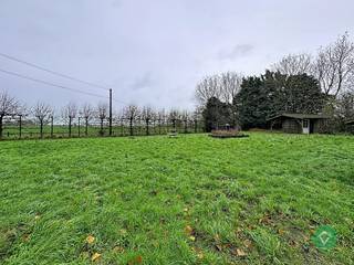 Deze alleenstaande woning is gelegen op een grondoppervlakte van 1895 m² en bestaat uit: living - keuken - kelder - veranda - toilet - badkamer -...