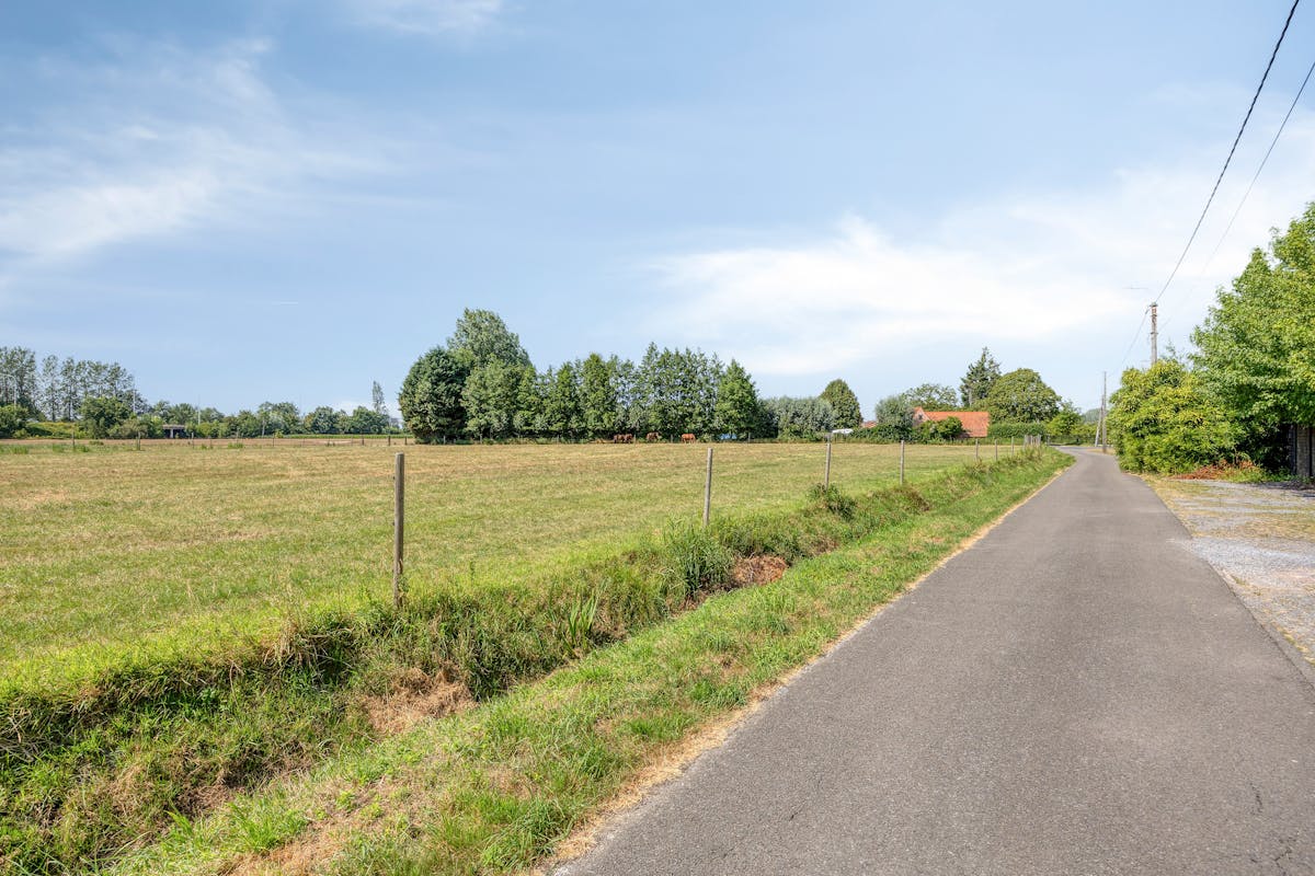 Te renoveren woning op prachtig perceel in Laarne - foto 4