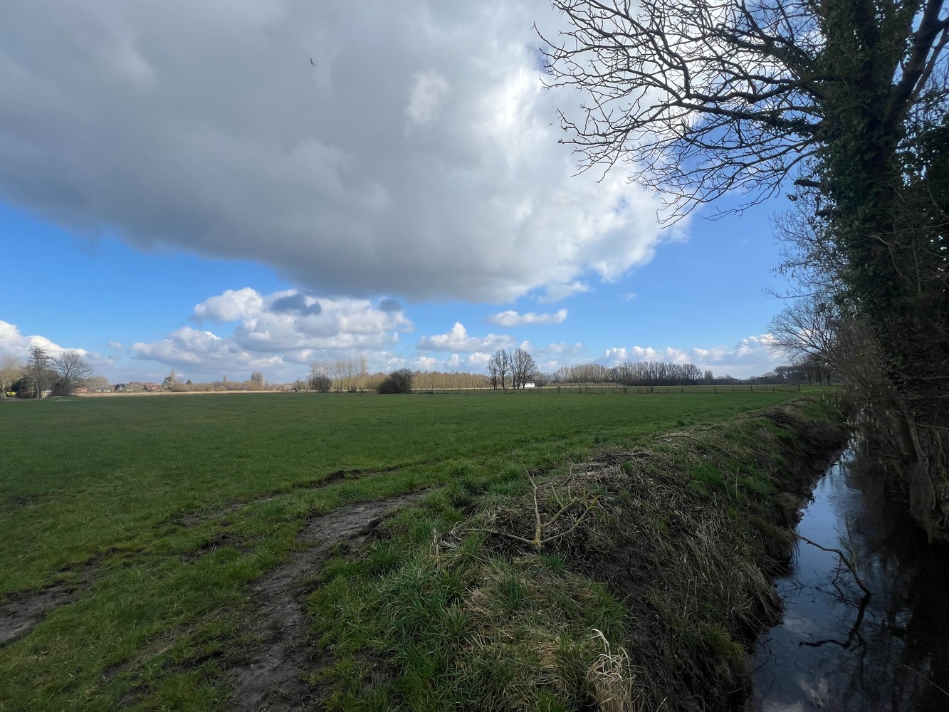 Landbouwgrond te Duffel - foto 3