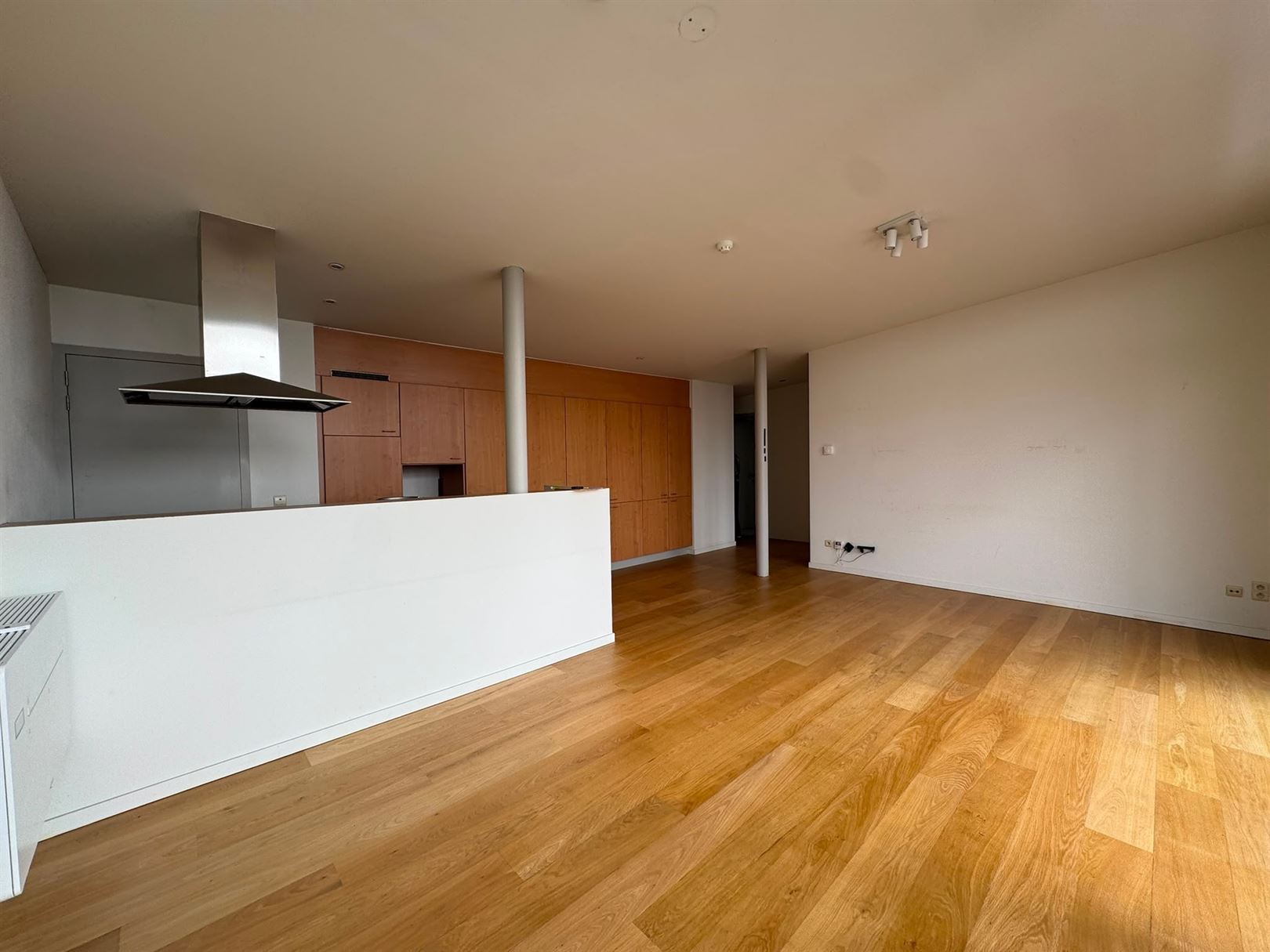 Apartment - photo 3