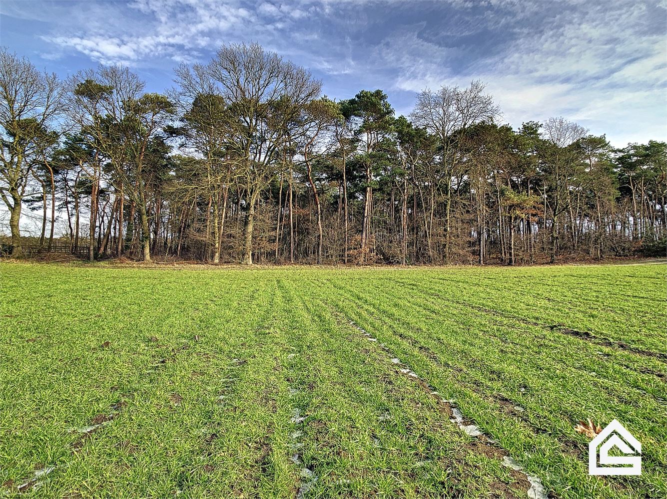 Perceel van 16.501m² aan de Kreyelerheide (bos in landschappelijk waardevol agrarisch gebied) - foto 1