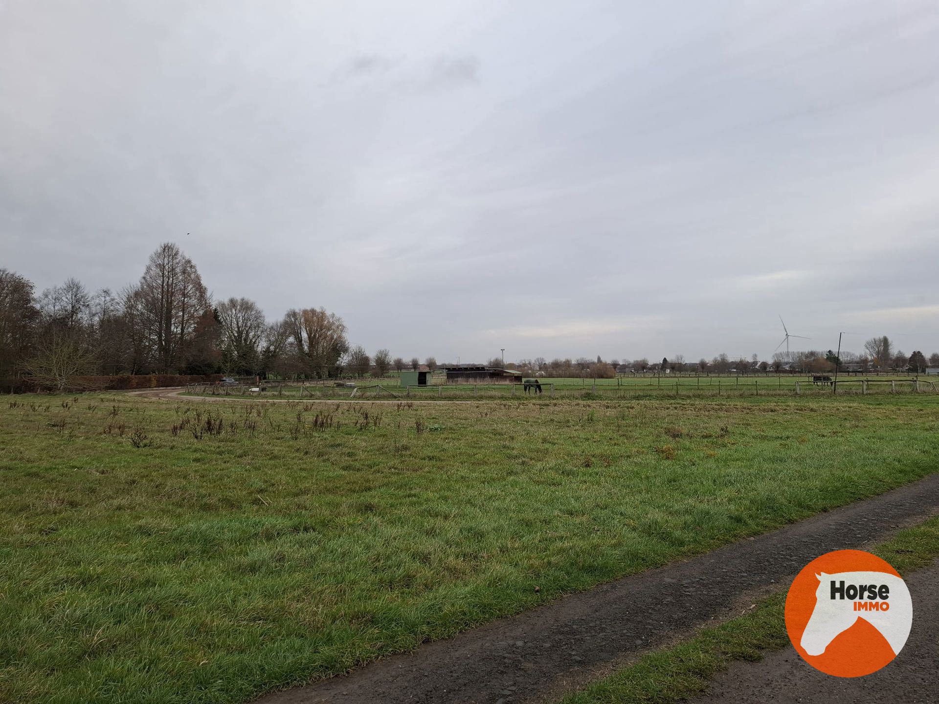 HAALTERT - Weide van +- 55a  - foto 4