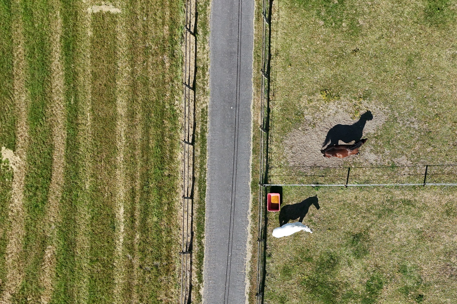 Prachtig gelegen eigendom op bijna 5ha te Ramskapelle - foto 5