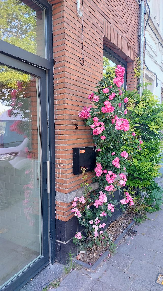 Huis te koop in Gent met 3 slaapkamers - foto 2