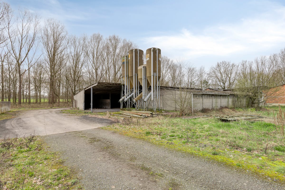 Te renoveren hoeve  op 1 ha 11 are rustig gelegen in Haacht - foto 5