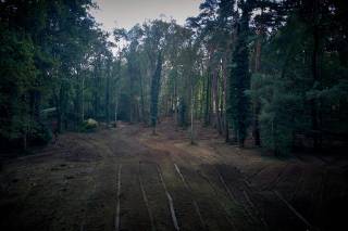 Op de mooiste dreef van Schilde gelegen exceptioneel bouwkavel met ideale configuratie en uitloop in natuurgebied en waterloop.<br />Breedte aan de dreef 64 meter en een diepte van maar liefst 260 meter (gemeten op het diepste punt).<br />Kenmerkend aan deze locatie in Schilde is de uitzonderlijke mooie bomenopstand aan de dreef. Er staan voornamelijk rode beuken, waarnaar ook de benaming van de dreef genoemd werd, "Rodedreef".<br />Dankzij de gunstige bouwvoorschriften, leent dit eigendom zich perfect tot realisatie voor fraaie architectuur voor het droomhuis met alle voorzieningen.<br /><br />Verdere info na afspraak op ons kantoor.