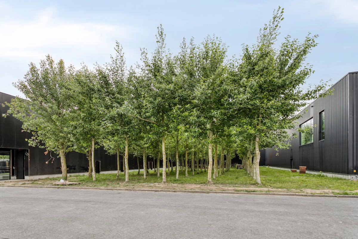 Magazijn van ca. 440 m² te huur in Wevelgem - foto 4
