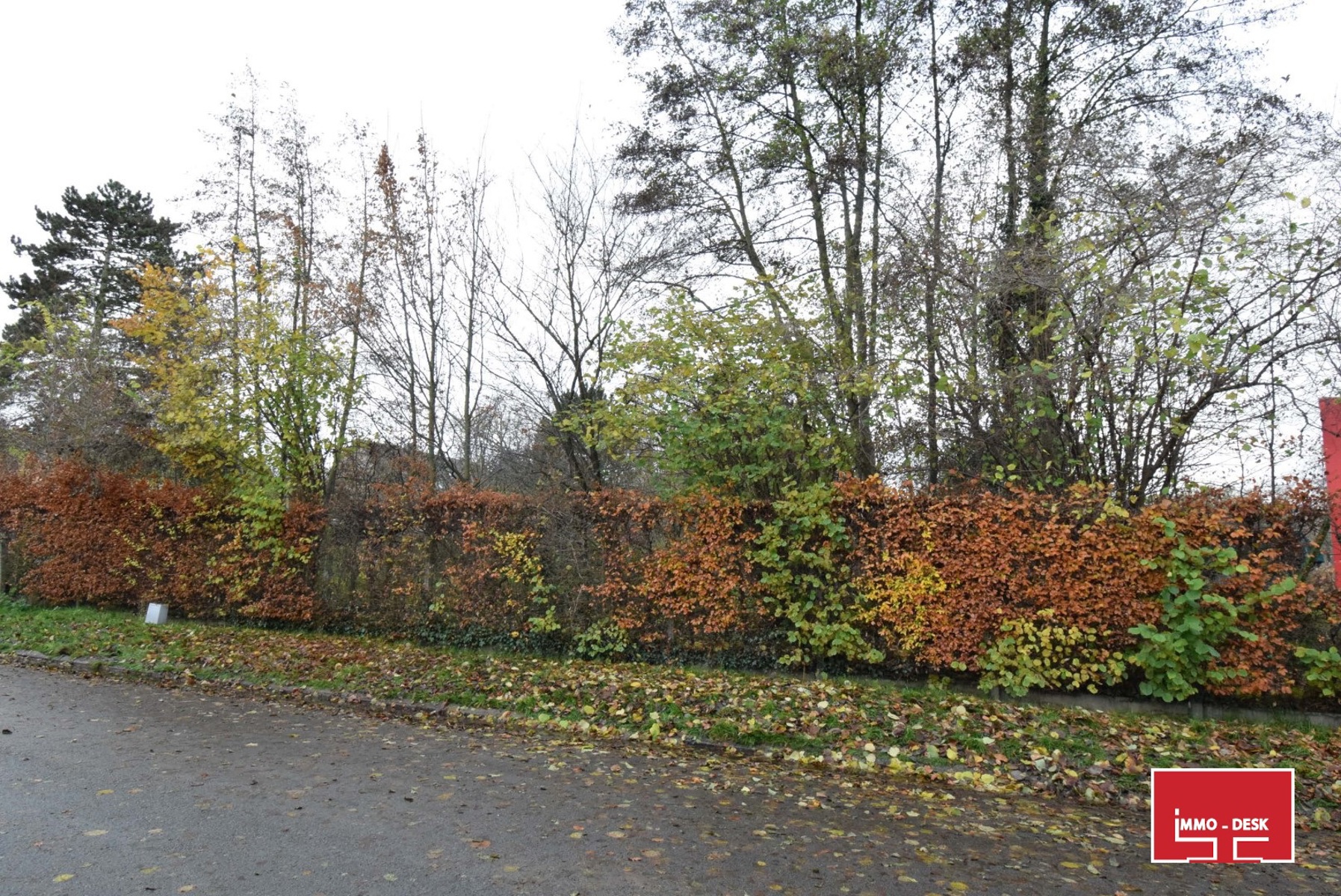 Maison à vendre à Denderleeuw avec 3 chambres - photo 5