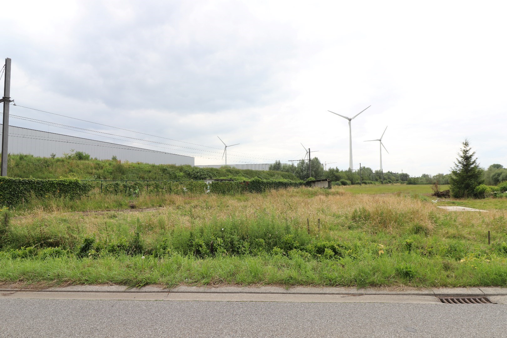 Terrain à vendre à Puurs-Sint-Amands - photo 3