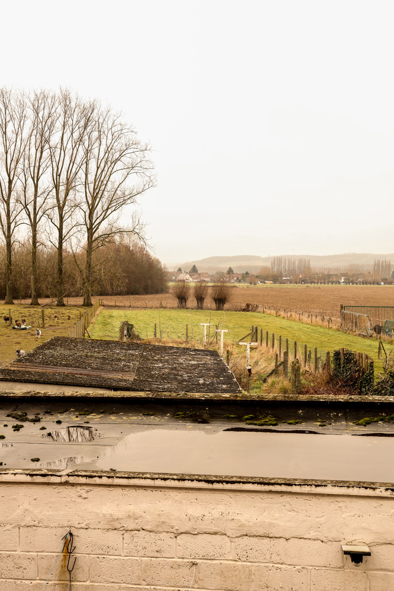 Maison à vendre à Pajottegem avec 3 chambres - photo 4