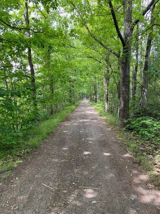 Deze grond wordt aangeboden aan een vanafprijsOp zoek naar een rustige plek om te ontspannen in de natuur? Deze prachtige recreatiegrond van 19 are,...