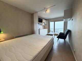 Deze ingerichte en instpaklare studio geniet van een topligging op de Zeedijk van Blankenberge, op wandelafstand van het centrum, winkels en...