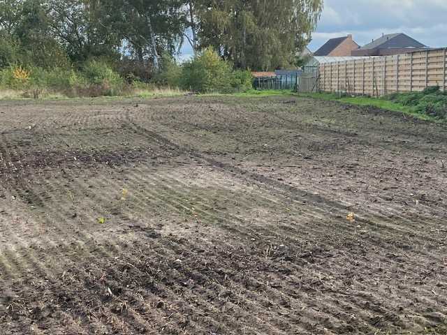 Grond te koop in Tessenderlo - foto 3