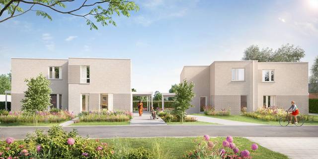 Projet à vendre à Aarsele
