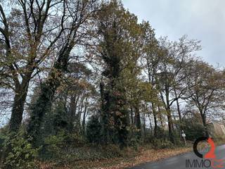 Residentieel gelegen bouwperceel van 05 A 14 CA (LOT 5 A op het opmetingsplan) voor halfopen bebouwing in een rustige straat in Koersel. <br /><br />Ligging: <br />+ Mosstraat, tegenover nummer 6 <br /><br />Bestemming: <br />+ Halfopen bebouwing <br />+ Residentieel gebruik: eengezinswoning <br /><br />Afmetingen perceel: <br />+ Straatbreedte: 9 m <br />+ Diepte: het perceel loopt in een knik naar achter toe, gemiddelde diepte: ca. 50 m <br /><br />Bouwdiepte: <br />+ Gelijkvloers: 17 m (14 m + 3 m voor de aanhorigheden die één harmonisch geheel met de hoofdbouw dienen te vormen) <br /><br />Bouwhoogte en dakhelling: <br />+ 1 volwaardige bouwlaag onder de kroonlijst <br />+ Maximaal 3,5 m tussen wegpeil en kroonlijst) <br />+ Dakhelling: 35 ° <br /><br />Bijgebouwen: <br />+ Vrijstaand bijgebouw/bergplaats is toegestaan op min. 6 m achter de achtergevel van de woning <br />+ Maximale oppervlakte van 40 m² <br />+ Maximale hoogte tot kroonlijst: 3 m <br /><br />Oriëntatie tuin: <br />+ noordwesten <br /><br />Bijzonderheden: <br />+ Bij de aanvraag tot omgevingsvergunning dient een compensatieformulier inzake ontbossing te worden bijgevoegd. <br /><br />Rustige residentiële ligging in een fijne buurt te Koersel, in nabijheid van alle voorzieningen (winkels, scholen, openbaar vervoer etc.) en het op- en afrittencomplex autostrade. <br /><br />Verkavelings- en opmetingsplan, verkavelingsvergunning en bouwvoorschriften zijn beschikbaar op eenvoudig verzoek.