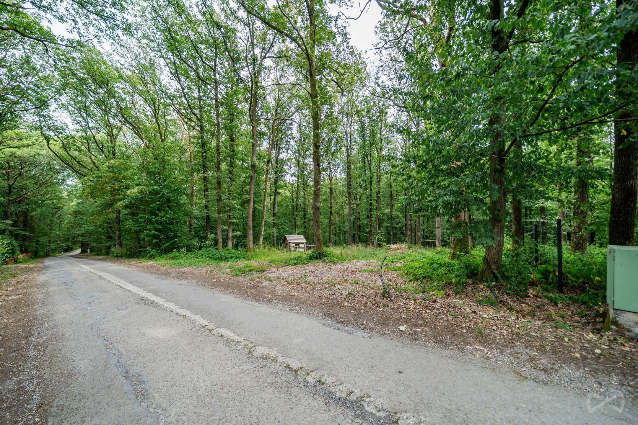 Grond te koop in Philippeville - foto 5