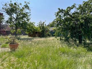 Land for sale in Bornem