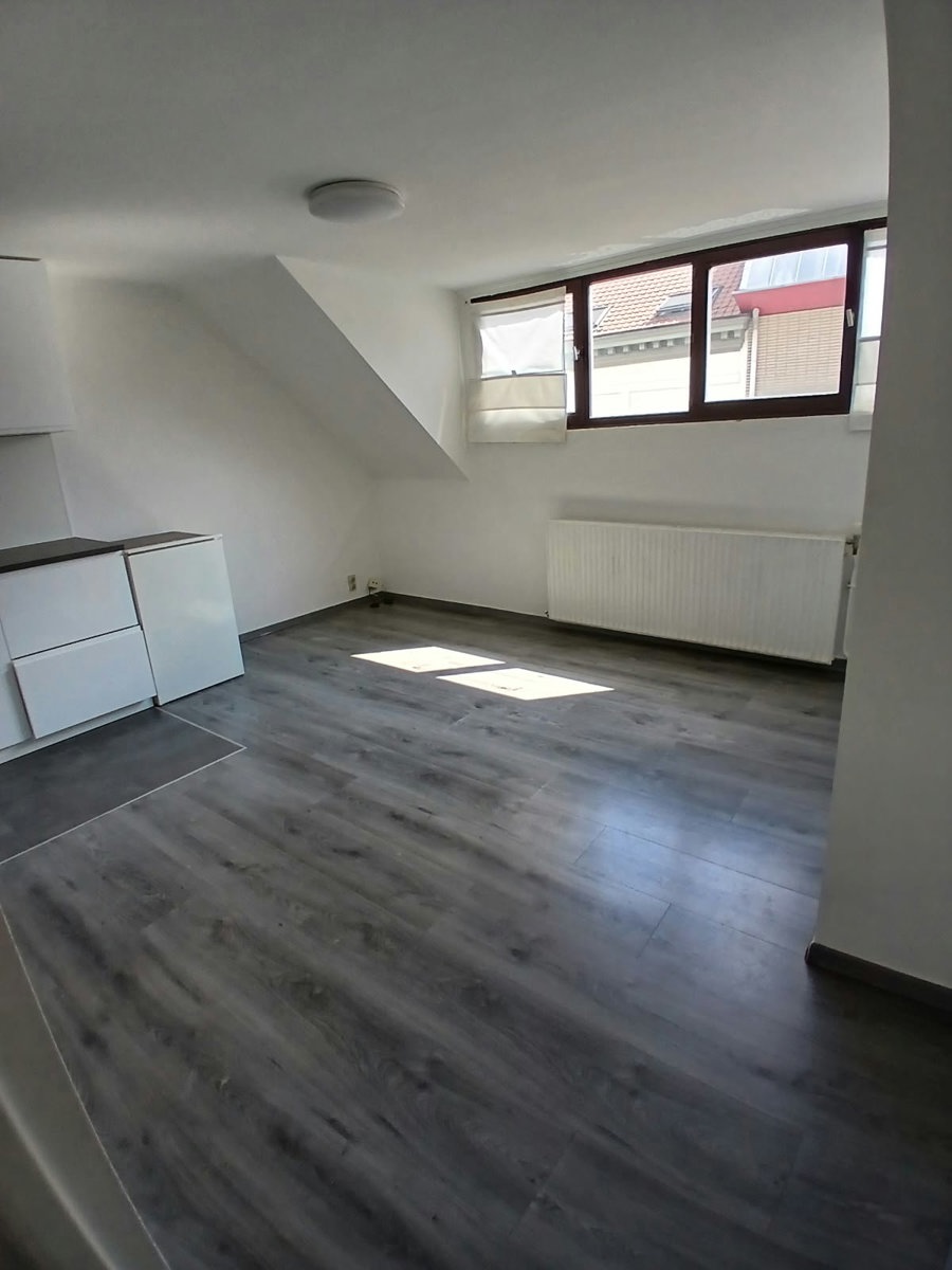 Appartement à louer à Anvers avec 1 chambre - photo 1