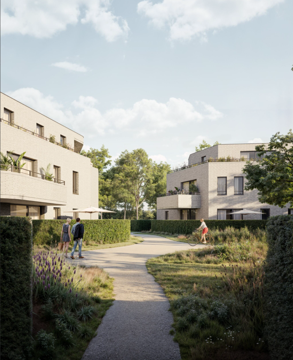 Project te koop in Westerlo - foto 4