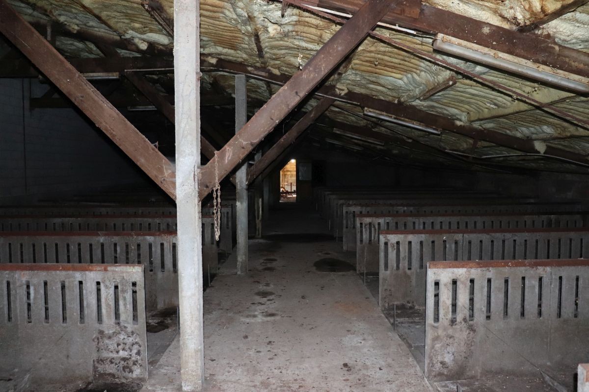 Voormalige stal te koop te Tiegem - foto 4